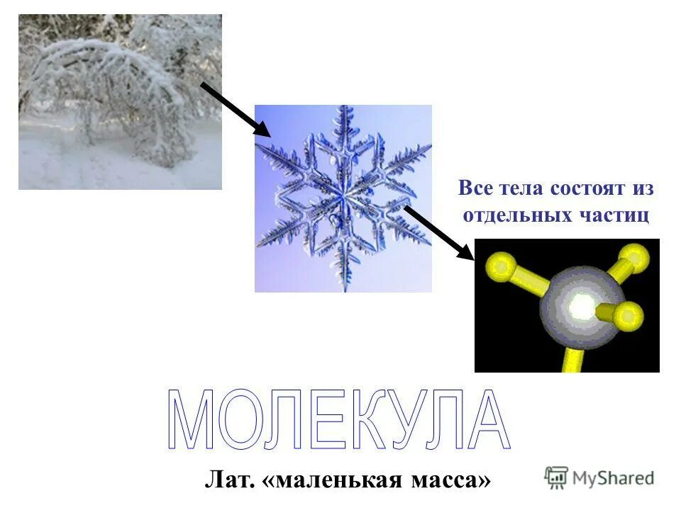 Состоящий из отдельных частиц. ГАЗЫ состоят из отдельных частиц. Сказка про молекулу по физике 7 класс.