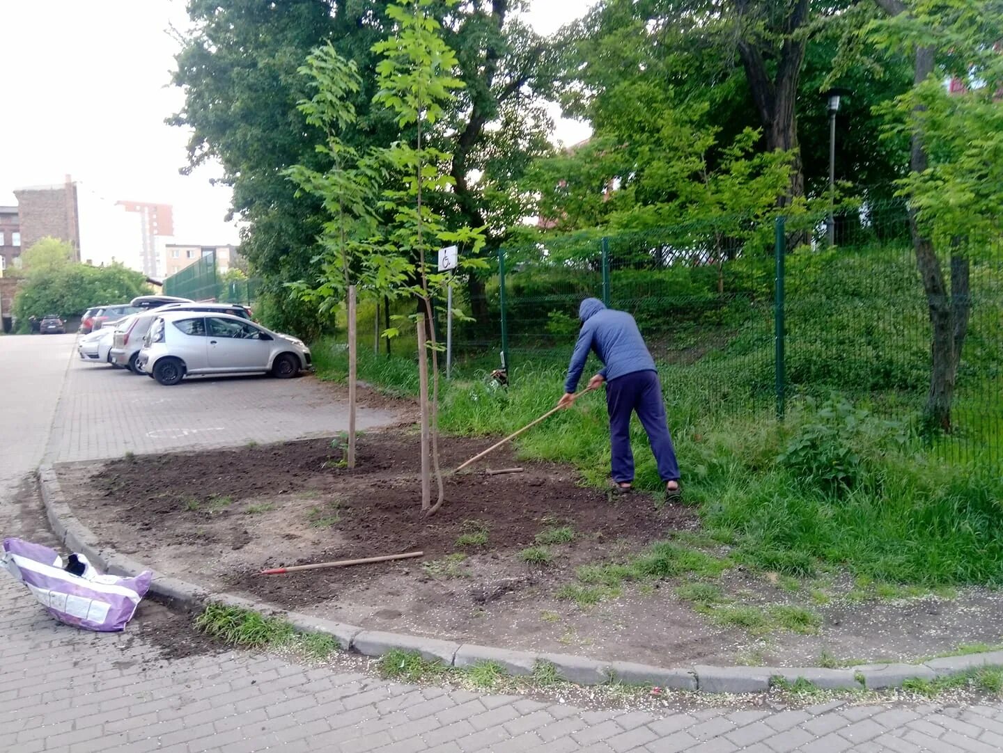 Международный день партизанского садоводства. Международный день партизанского садоводства 1 мая. Международный день партизанского садоводства 1 мая. День партизанского садоводства 1 мая. Партизанское садоводство.