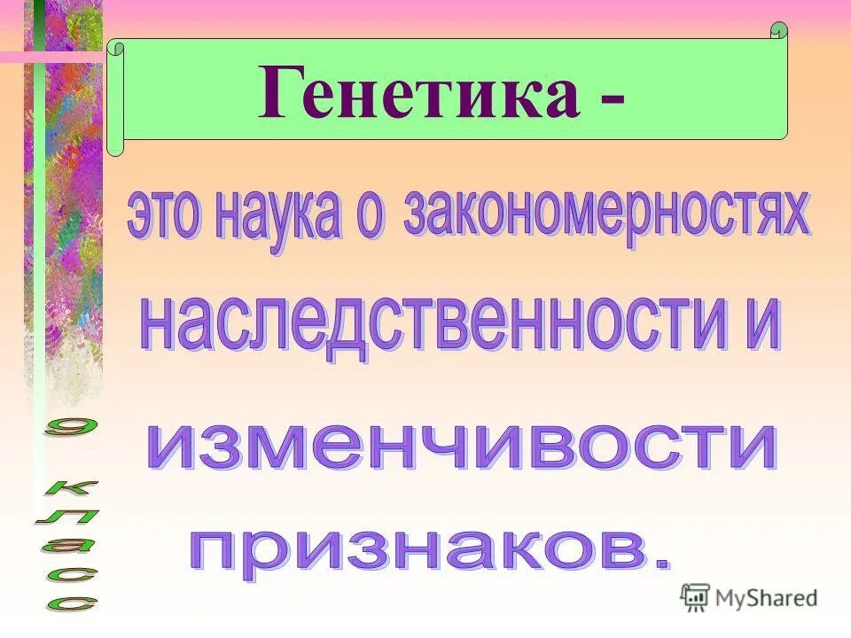 Чистая линия гомозиготный организм. Чистые линии в генетике это.