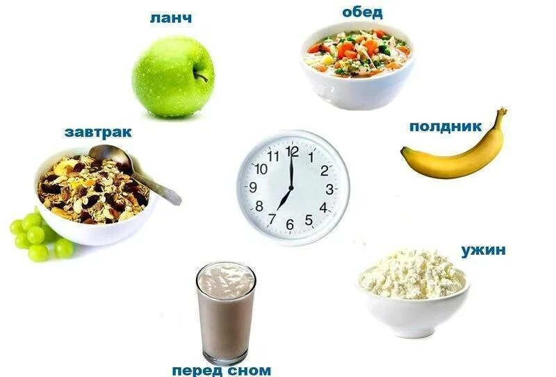 Что нужно есть в течении дня. Правильный режим питания. Питание для похудения. Часы правильного питания. Правильное питание для похудения 3 разовое.
