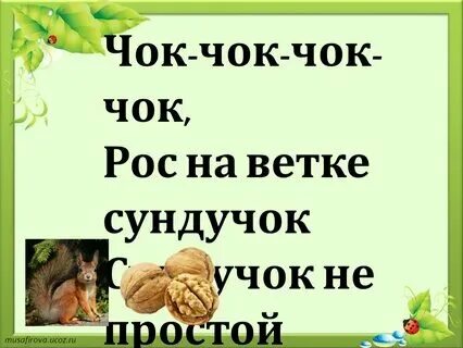 Отстрел чок чок