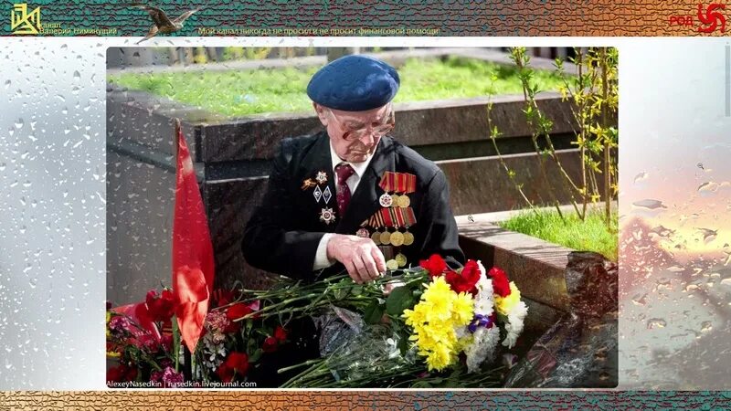 Инцидент ветеран. Унижение ветеранов. неуважение к ветеранам. нищие ветераны вов.
