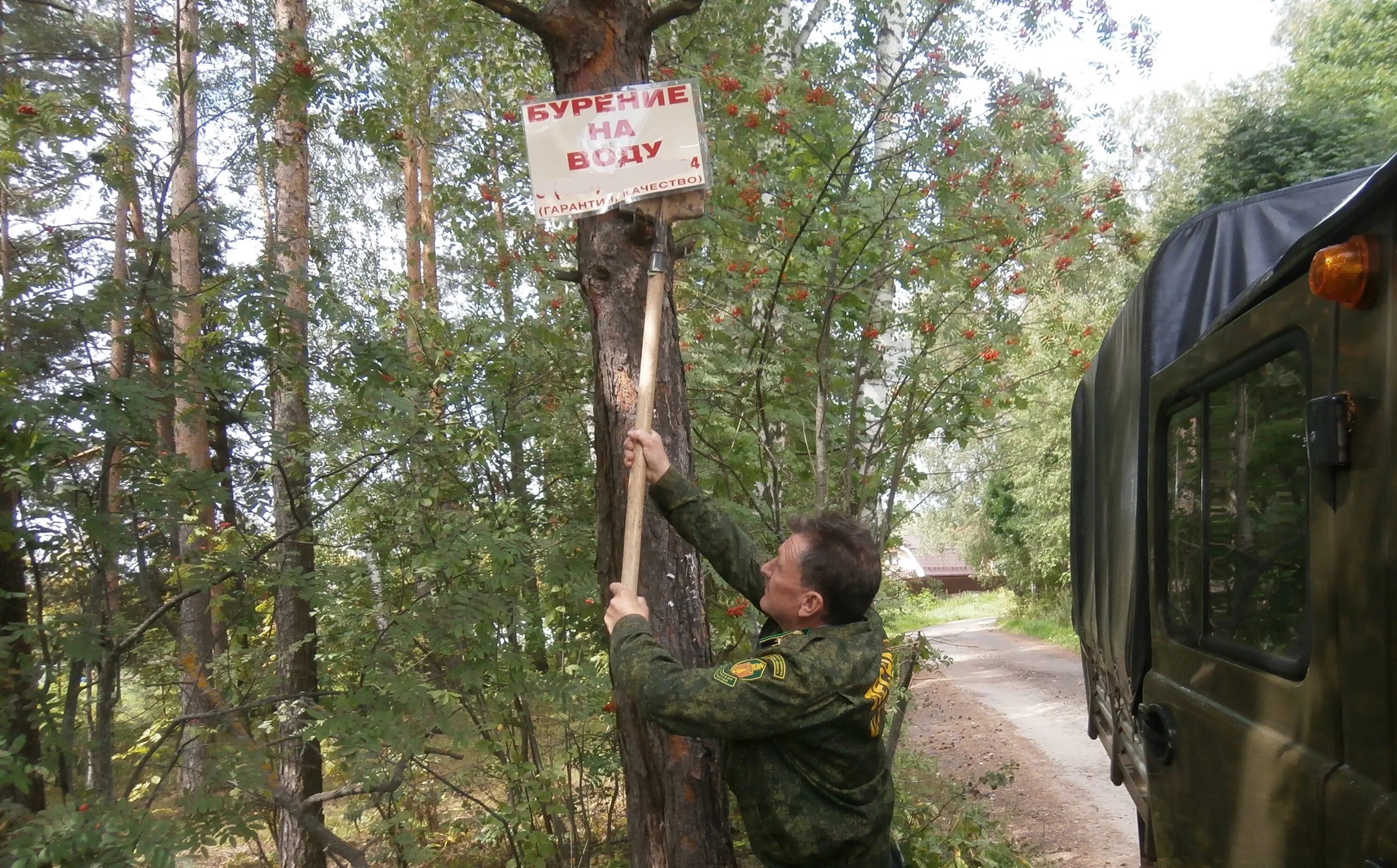 Лес мхт. Патрулирование лесного фонда Подмосковья. Несанкционированная реклама на деревьях. Патрулирование лесного фонда Орехово-Зуево. Маршруты патрулирования лесов Подмосковье.