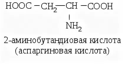 Аминобутандиовая кислота. 2 Амин бутандиовая кислота. 2-Аминобутандиовая кислота формула. 2-Аминобутандиовая-1,4 кислота. 1 3 аминобутановая кислота