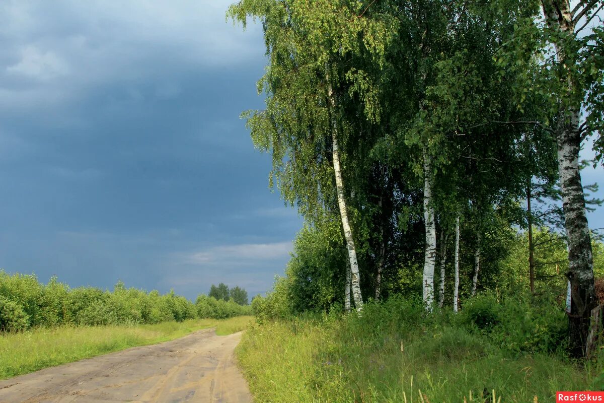 Слушать две березки у дороги