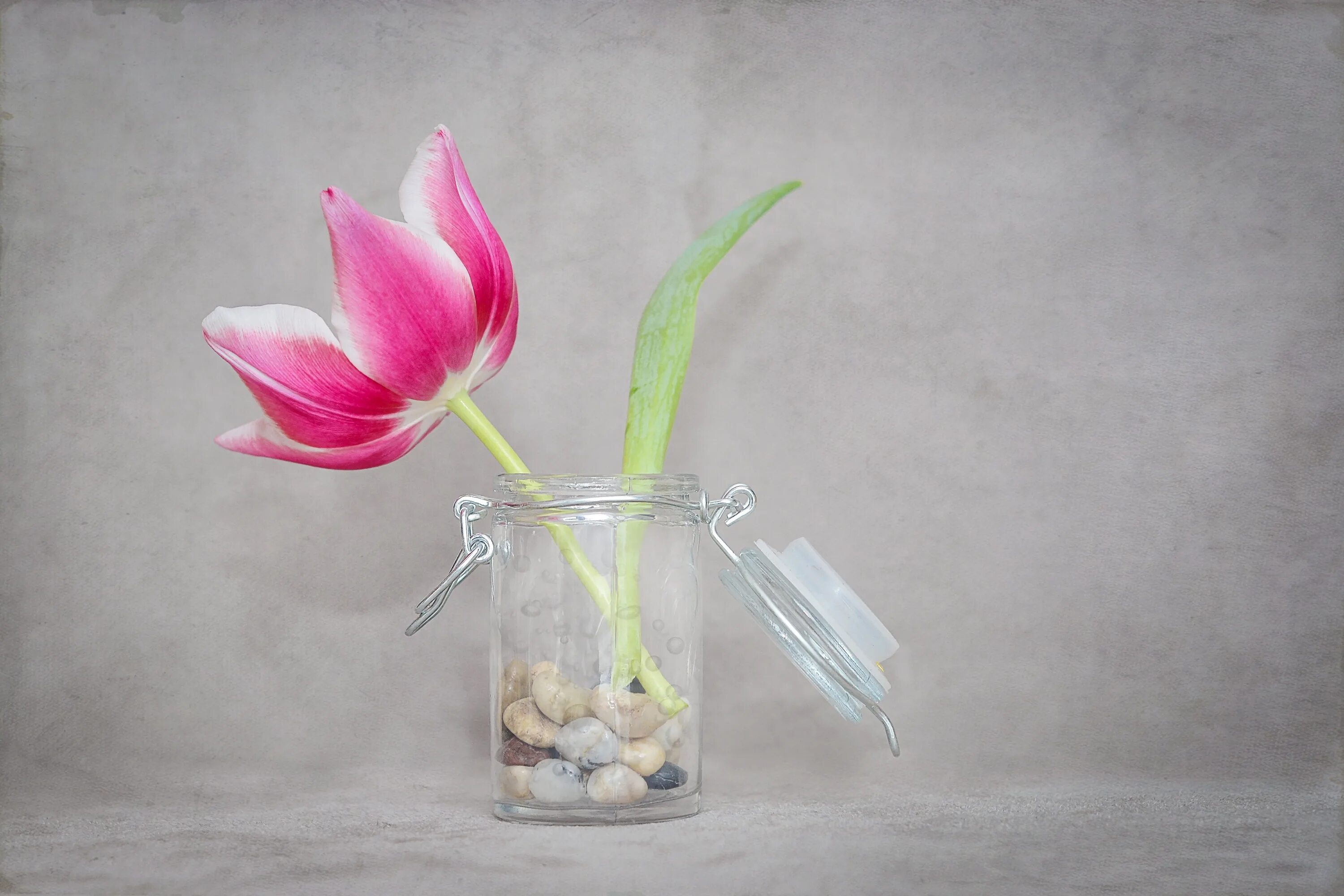 Сколько воды наливать тюльпанам в вазе. Тюльпаны в стеклянной вазе. Тюльпаны в вазе. Бокал тюльпан. Тюльпаны в стакане.
