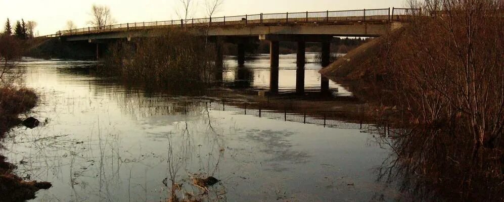 Плониково Омская область. Село Плотниково Курганская область. Плотниково Бакчарский район. Плотниково томская область