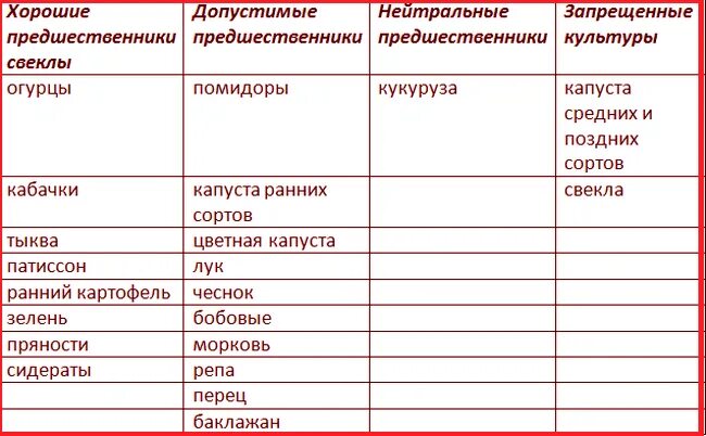 Свекла после чего лучше. Что лучше сажать после свеклы на следующий год. Предшественники моркови и свеклы. Что можно сажать после свеклы на следующий год. После чего садить свеклу и морковь на следующий год.