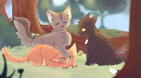 Коты воители три кота
