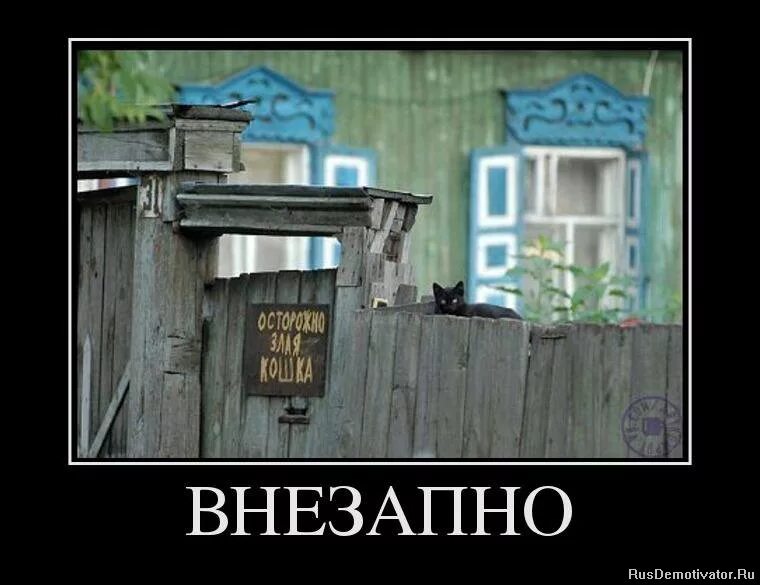 рон свонсон мем. начальник и подчиненная. николай костин курск. привлечь к ответственности. внезапно прикол.