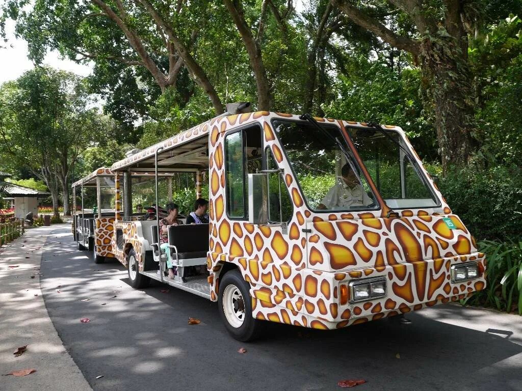 Транспорт какой до зоопарка. Автобус зоопарк. Автобусы в зоопарке туристические. Автобус в зоопарке Сингапура. Проект автобус зоопарк.
