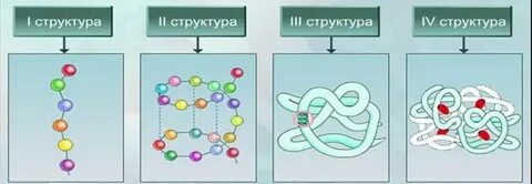 Рисунке 4 рисунок 4 структура