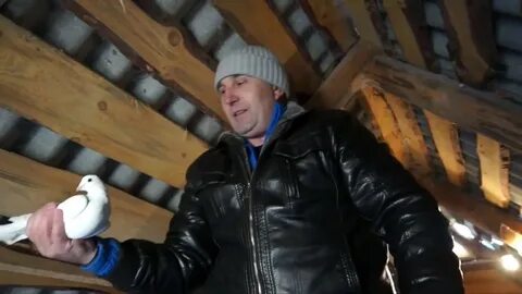Умет озган