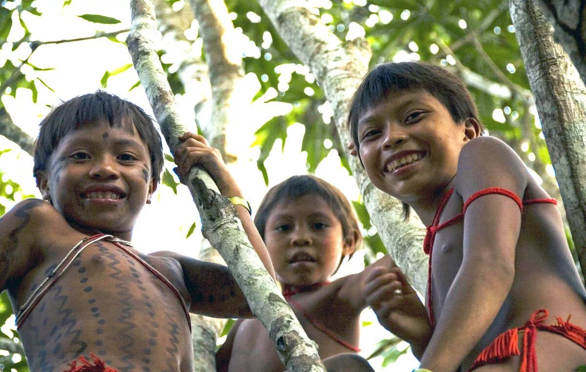Негритянка в джунглях. Племя в Бразилии Яномами. Мир наизнанку Бразилия племя Яномами. Индейцы племени яномамо. Мальчики индейцы племени яномамо Kids.