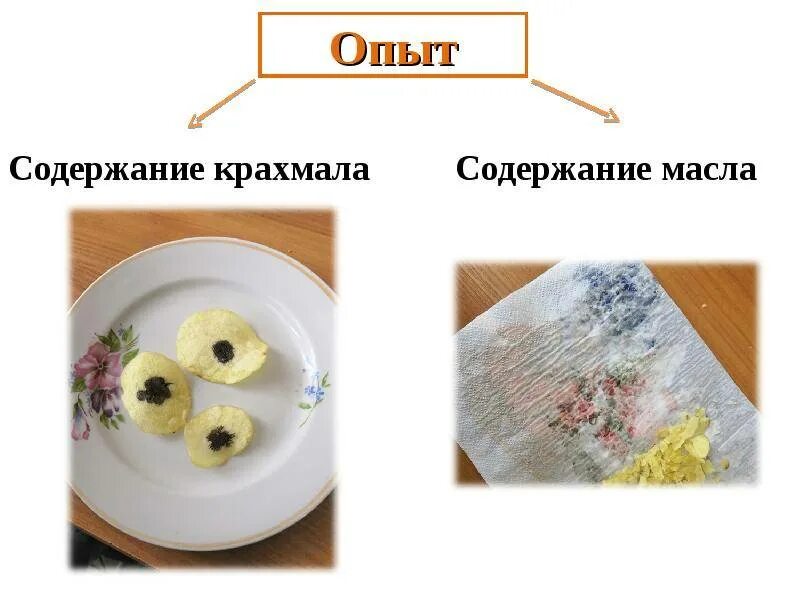 Крахмал водоросль. Обнаружение крахмала в продуктах. Опыт выявление крахмала в продуктах. Опыт крахмал в продуктах. Опыт обнаружение крахмала.