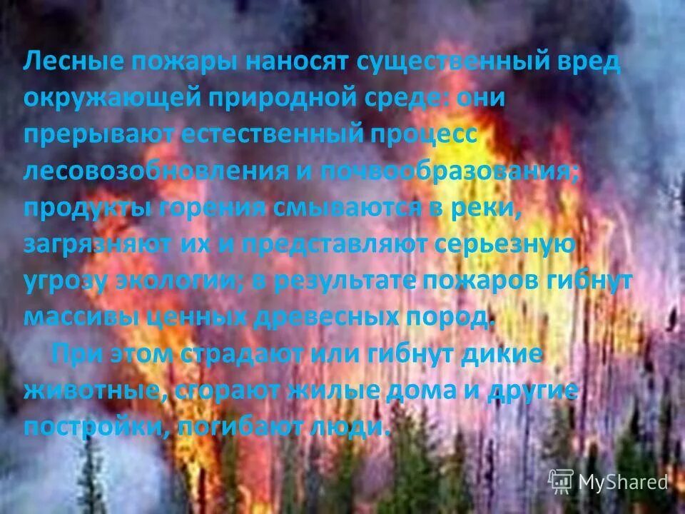 какой вред лесам наносят пожары. неконтролируемое горение причиняющее материальный ущерб вред. пожар это неконтролируемое горение причиняющее материальный ущерб. возможные причины возникновения пожара. пожары какой вред.