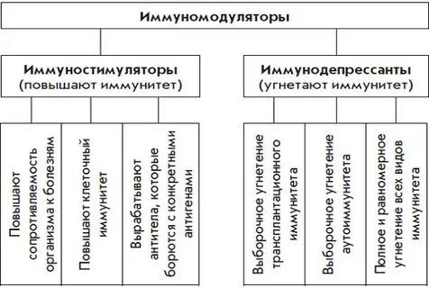 Иммуномодуляторы классификация
