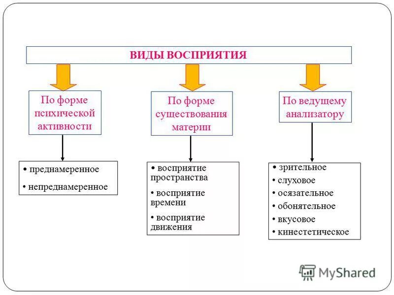 Типы психической активности. Классификация восприятия в психологии. Схема виды восприятия по форме психической активности. Анализаторы восприятия в психологии. Типы восприятия в психологии таблица.