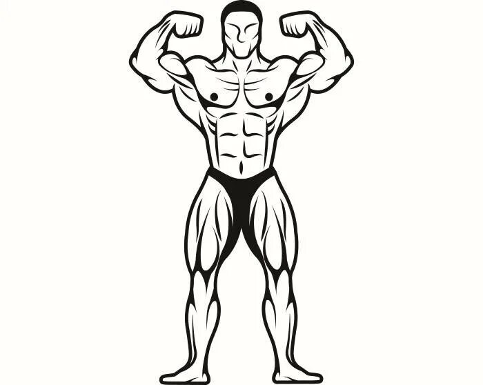 качок рисунок. скопировать качка. мультяшные качки. качки рисунки. качки для срисовки.