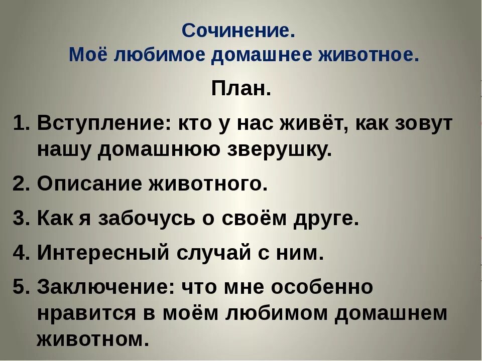 Элементы сочинения 5 класс. Сочинение на тему Мои любимые животные. Сочинение на тему мой любимый питомец. Сочинение на тему моё любимое животное. Сочинение на тему мое животное.