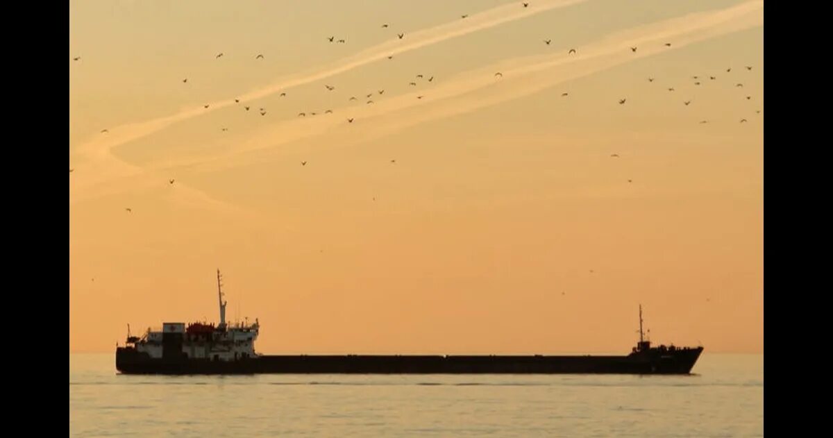 Сухогруз в море. Судно сормовский 3058 проект. Судно. Самый большой сухогруз. Сухогруз в океане.
