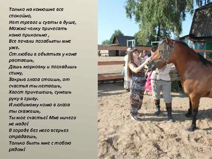 Конь значение гуща