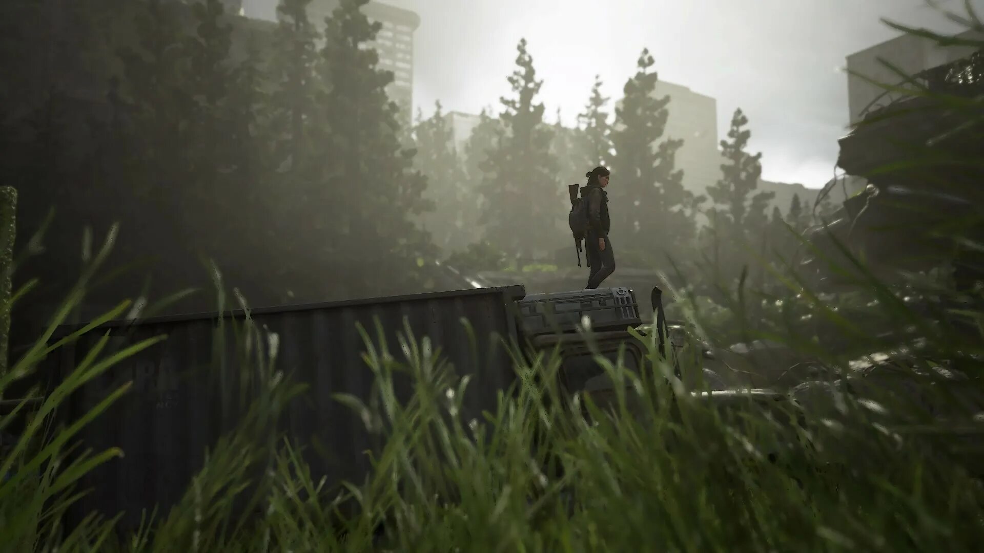 The last of us 2 на компьютер. The last of us 2 на компьютер