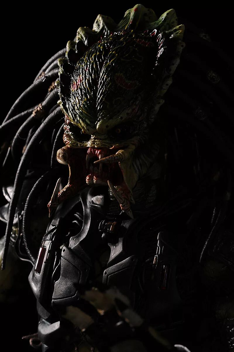 Aurora predator