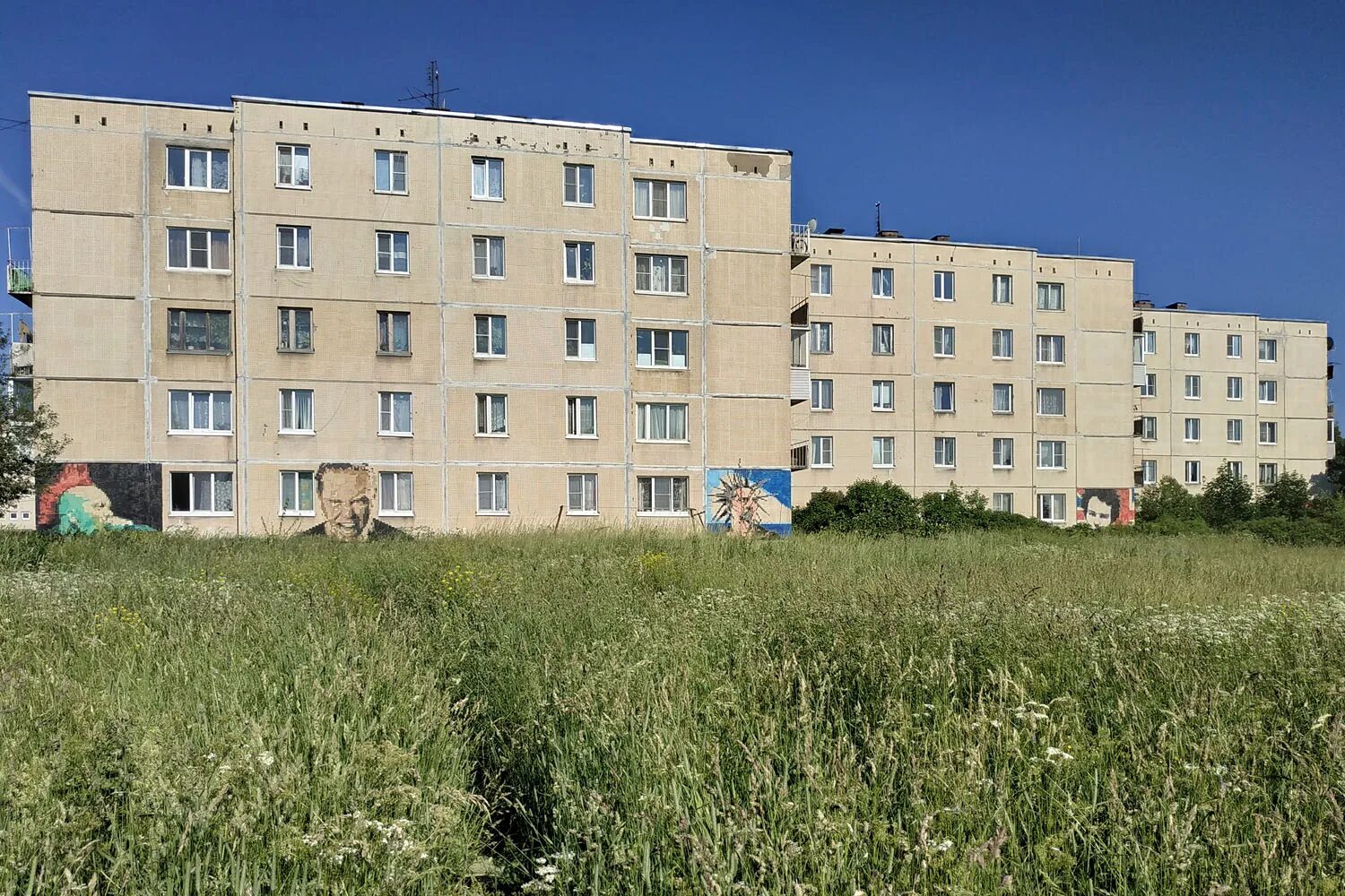 Дылицы елизаветино усадьба. Поселок елизаветино ленинградская. Поселок елизаветино ленинградская. Поселок елизаветино ленинградская. Дворец елизаветино ленинградская область.