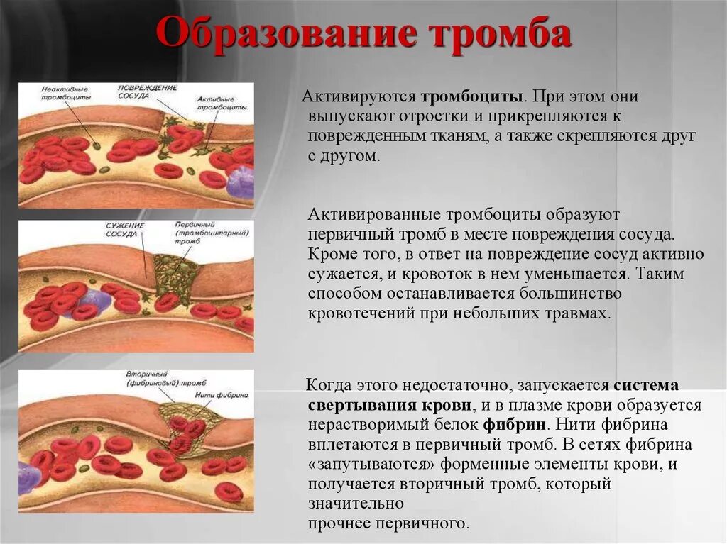 Почему от чего по какой причине