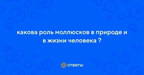 Роль моллюсков в жизни человека