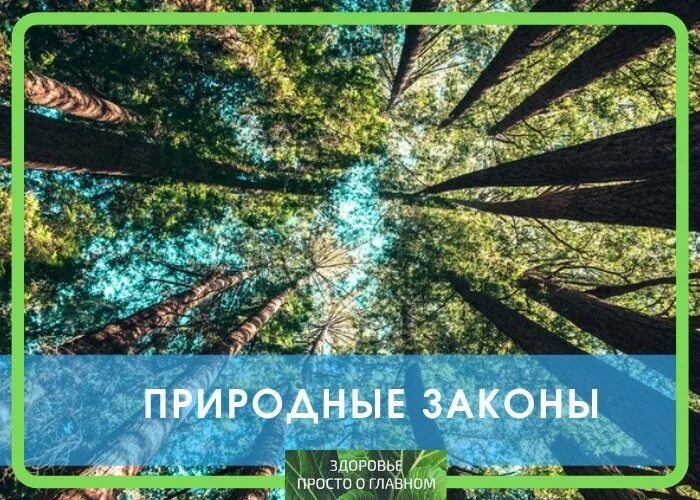 Камчатка кроноцкий заповедник гейзеры. Розовый туман, поля. Вулкан узон интересные факты. 12 природных. 12 природных законов.