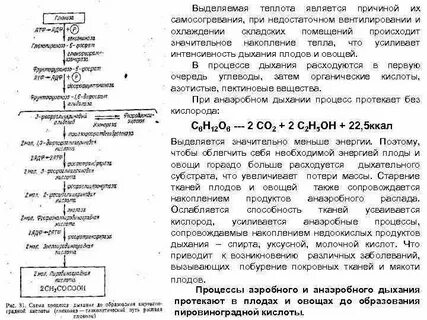 Какой процесс происходит при поджаривании овощей
