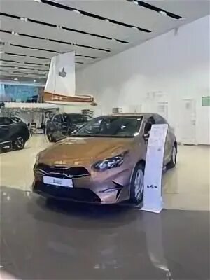 Фаворит на варшавке 1 дорожный