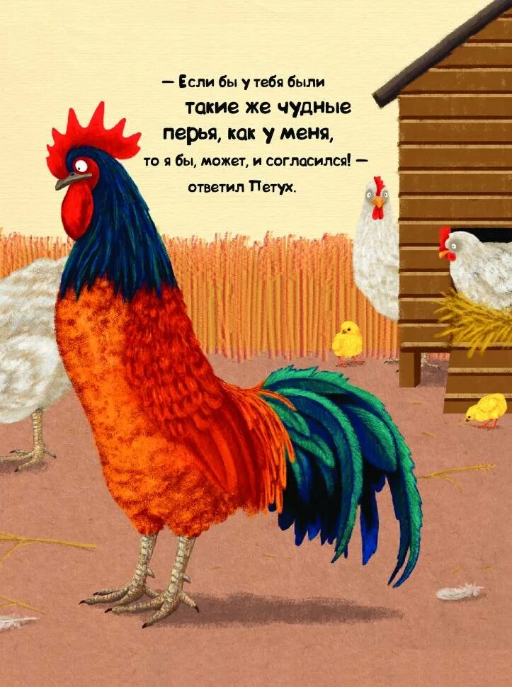 Петух по другому