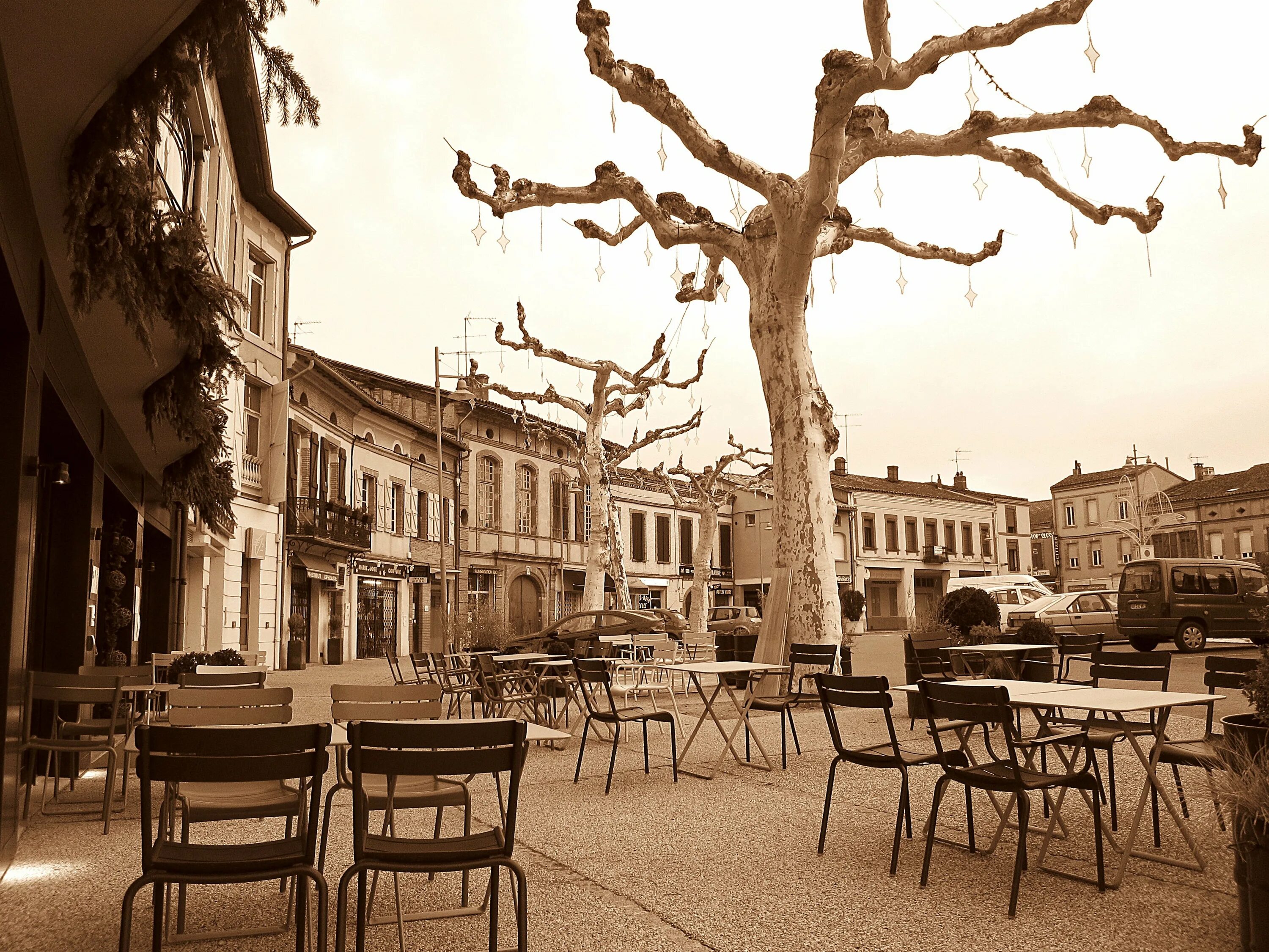 Картинки сепия. Фотографии сепия. Картинки сепия. Лес сепия. Картинки сепия.