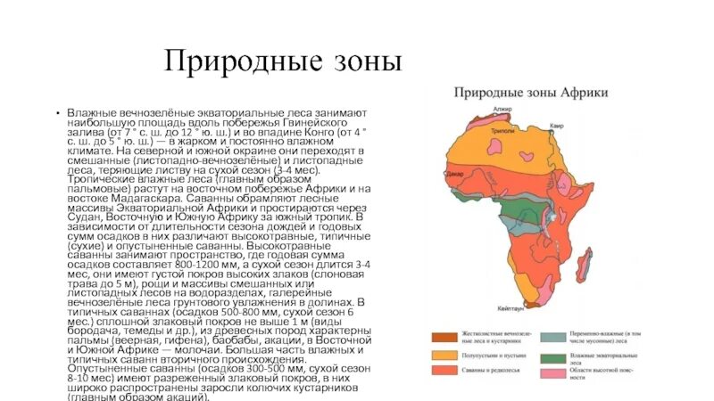 Какую площадь занимают экваториальные леса. Географическое положение экваториальных лесов Африки. Природные районы Африки. Географическое положение Африки презентация. Экваториальные леса Африки географическое положение.