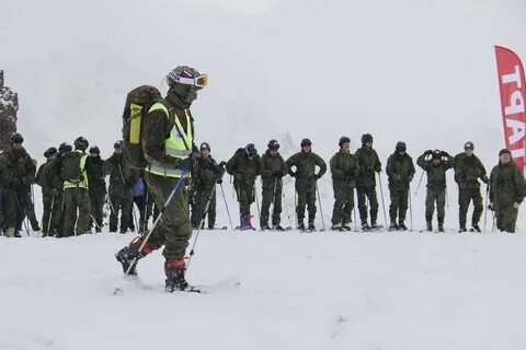Сбор специалистов