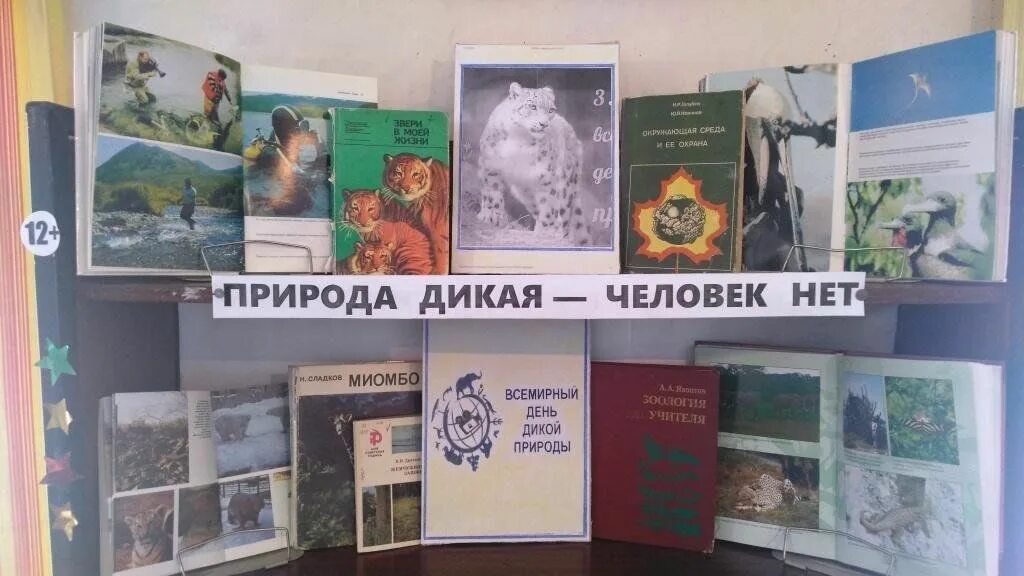 Выставка к Дню дикой природы. Всемирный день дикой природы книжная выставка в библиотеке. Выставка в библиотеке о дикой природе. Выставка ко Дню дикой природы в библиотеке.