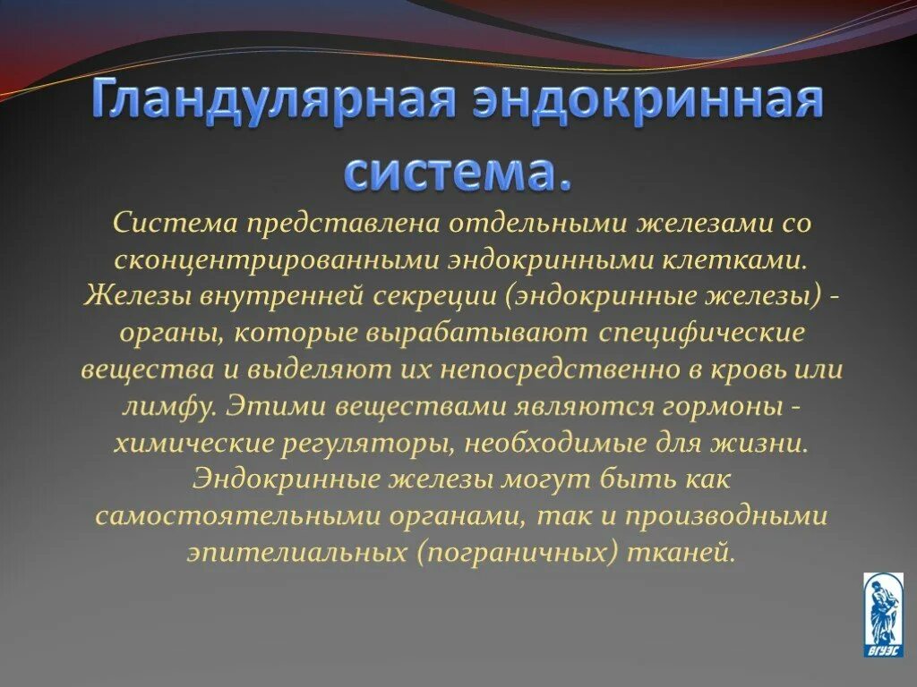 Эндокринная система. Гландулярная эндокринная. Органы эндокринной системы. Диффузная эндокринная система.