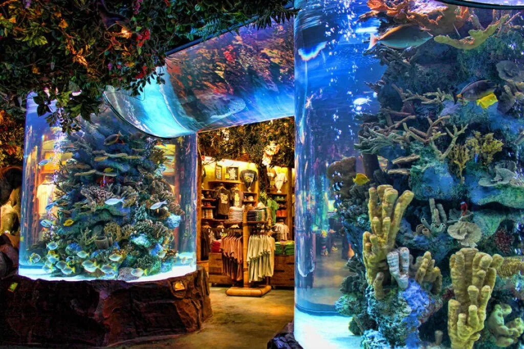 Необычные аквариумы. Большие аквариумы. Большой красивый аквариум. Огромный аквариум.