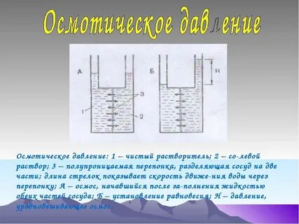 Осмос и осмотическое давление