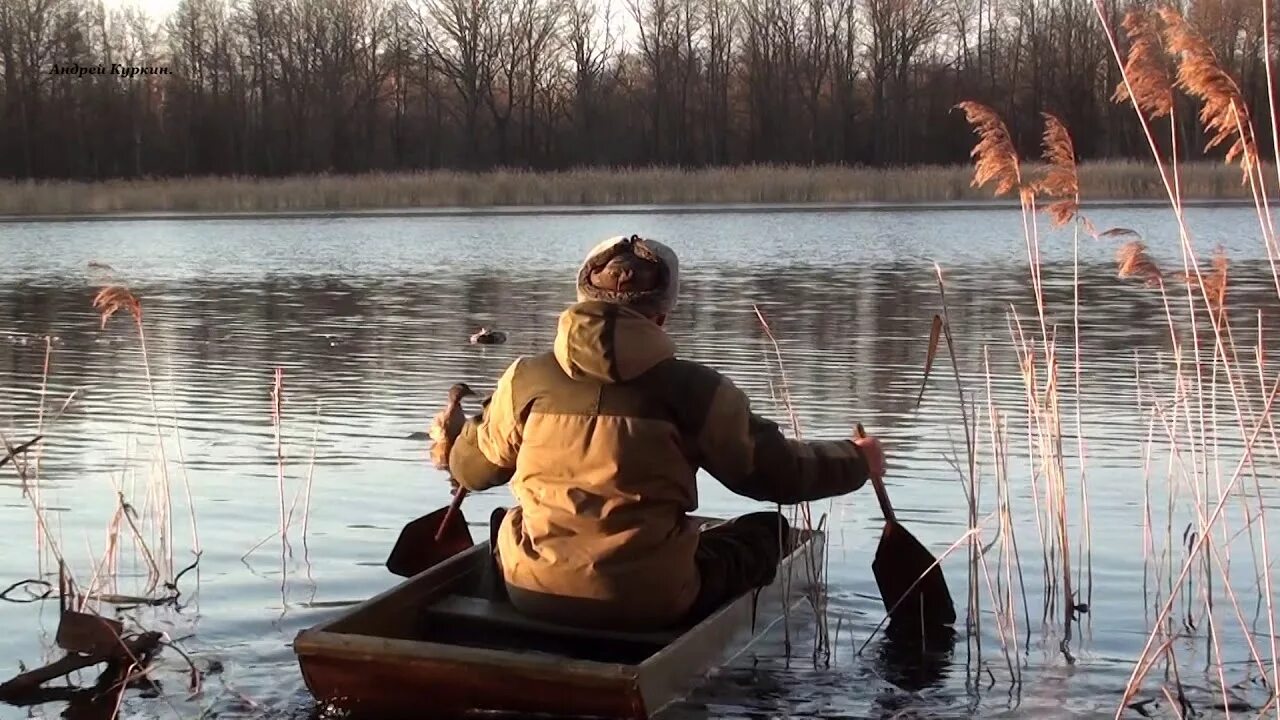 Охота с подсадной уткой весной видео. Охота на селезня весной с подсадной. Весенняя охота на утку с подсадной. На селезня с подсадной. Весенняя охота с подсадной уткой на селезня.