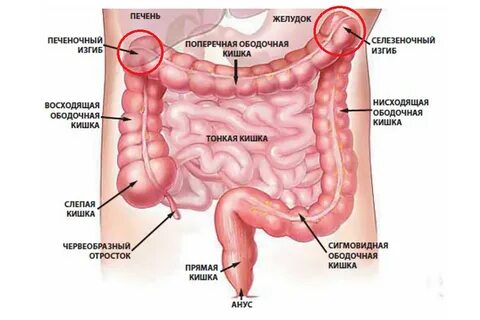 Мен үйреніп жатқан порно