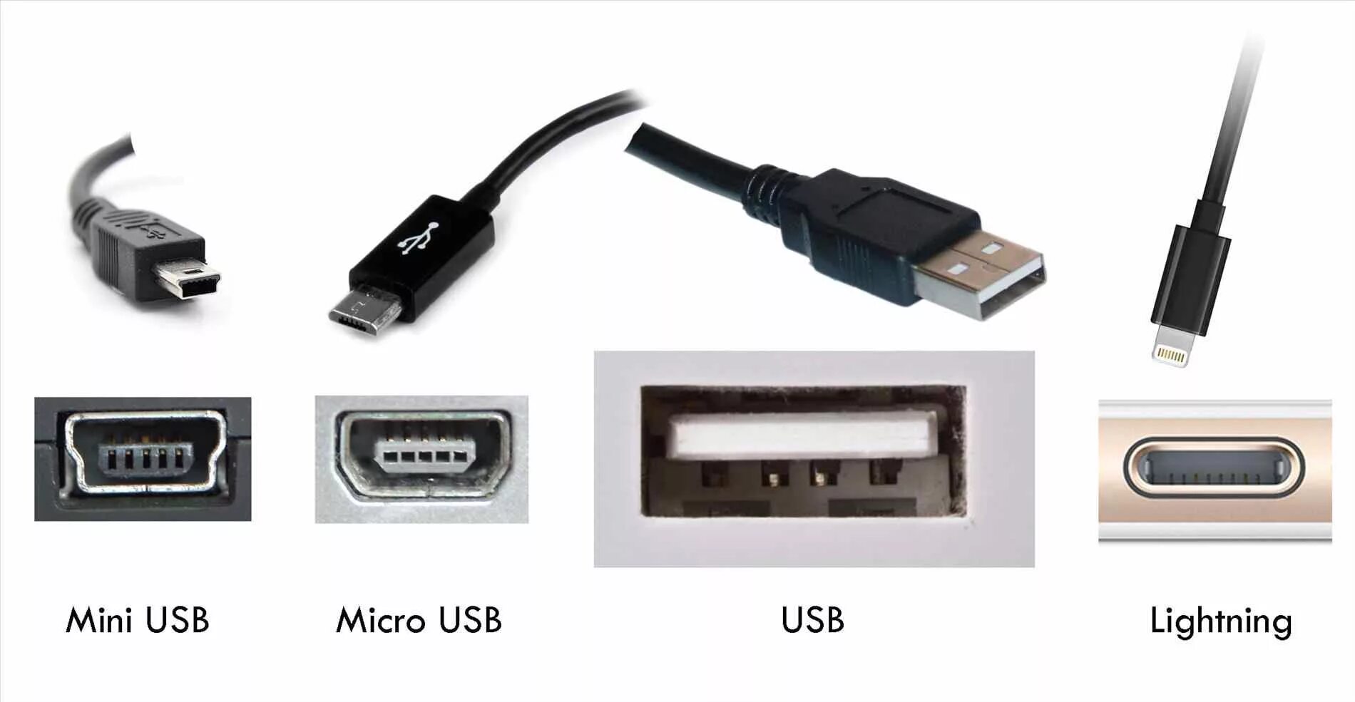 Как отличить мини. Micro USB Type a разъем. Mini USB vs Micro USB. Типы микро юсб разъемов. USB 1 микро юсб порт.