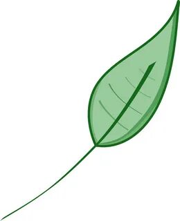 Листья зеленые картинки для детей