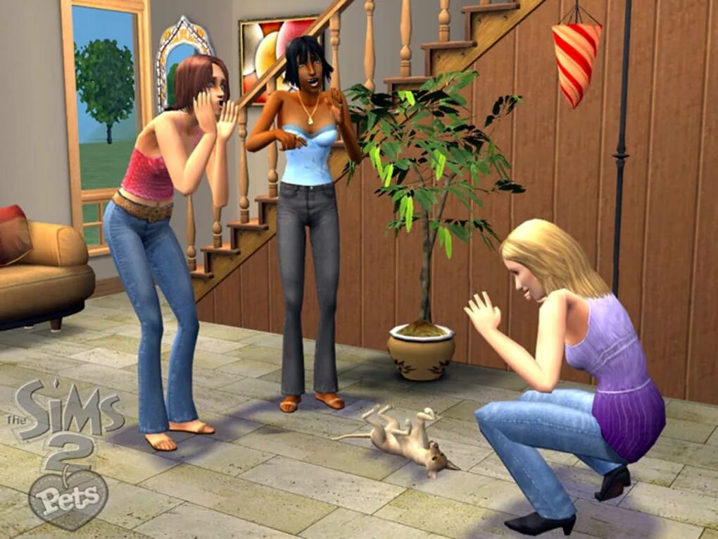 Играть в 1 17. Симс 2 друзья. Симс 2 2004. The SIMS 2: питомцы. Интересные игры на улице.