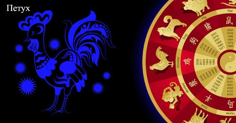 Восточный гороскоп по годам таблица. Восточные знаки зодиака по годам рождения таблица. Год рождения символ. 1993 какой год зодиака. Китайский гороскоп по годам животных.