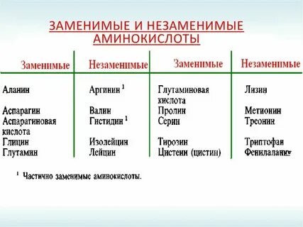 20 заменимых аминокислот