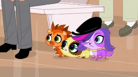 In the night pet shop